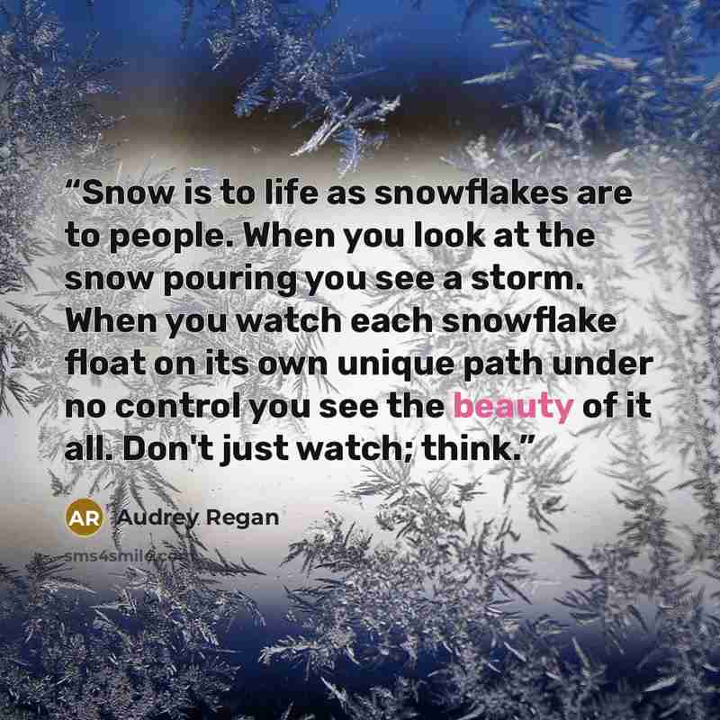 “Snow is to life as snowflakes are to people. When you look at the snow pouring you see a storm. When you watch each snowflake float on its own unique path under no control you see the beauty of it all. Don't just watch; think.” quote by Audrey Regan