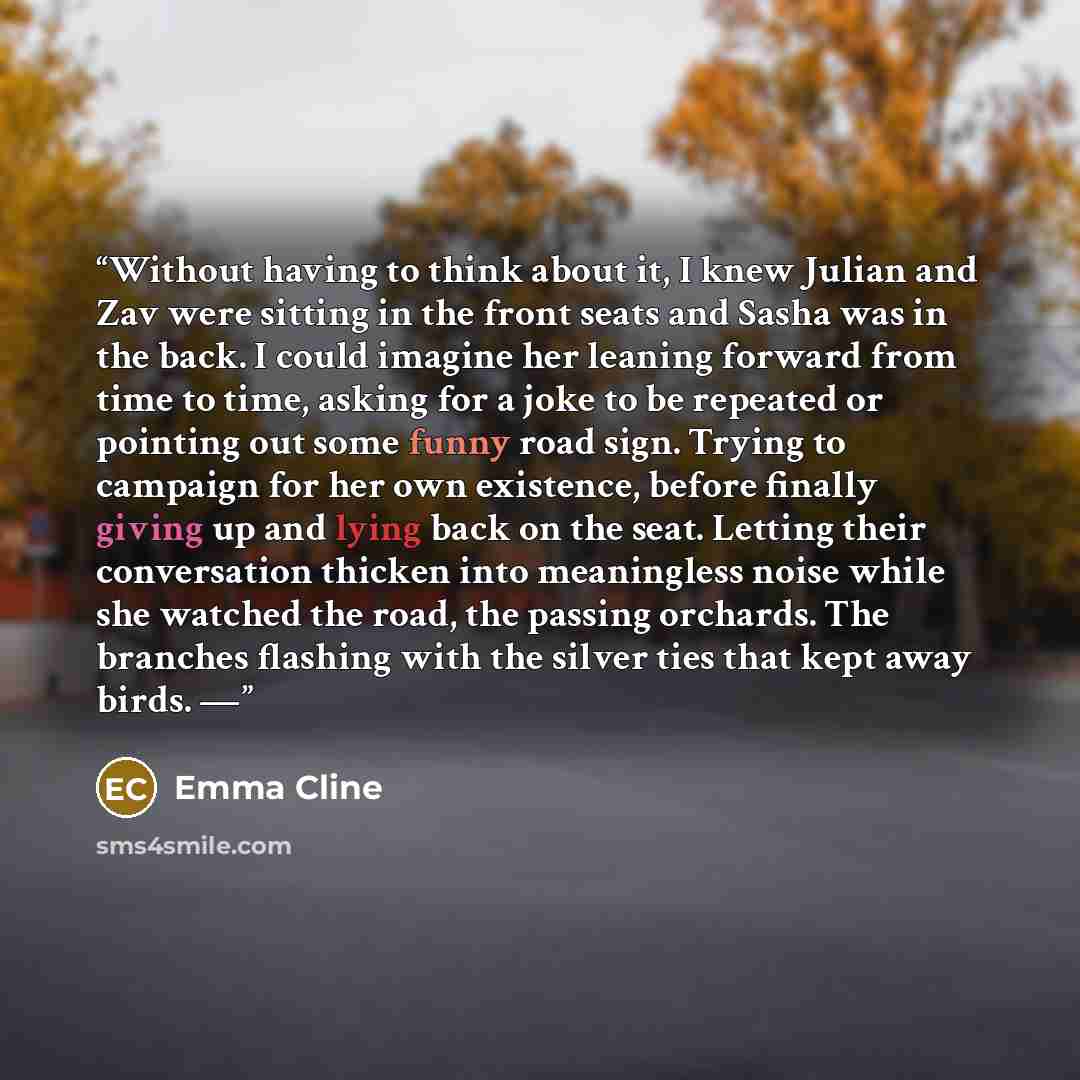 “Without having to think about it, I knew Julian and Zav were sitting in the front seats and Sasha was in the back. I could imagine her leaning forward from time to time, asking for a joke to be repeated or pointing out some funny road sign. Trying to campaign for her own existence, before finally…” quote by Emma Cline