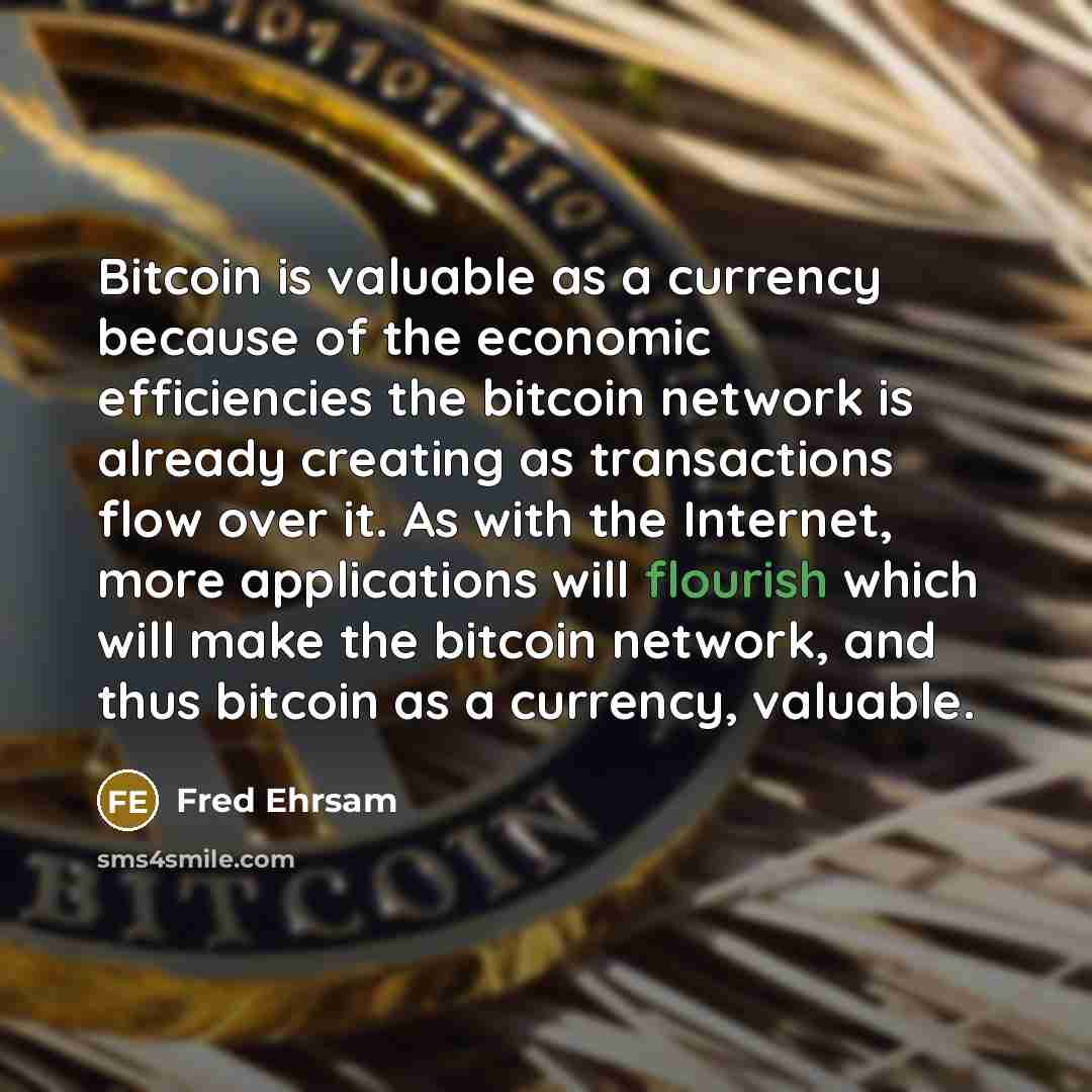 “Bitcoin is valuable as a currency because of the economic efficiencies the bitcoin network is already creating as transactions flow over it. As with the Internet, more applications will flourish which will make the bitcoin network, and thus bitcoin as a currency, valuable.” quote by Fred Ehrsam