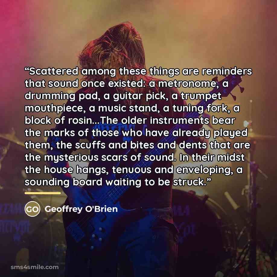 “Scattered among these things are reminders that sound once existed: a metronome, a drumming pad, a guitar pick, a trumpet mouthpiece, a music stand, a tuning fork, a block of rosin...The older instruments bear the marks of those who have already played them, the scuffs and bites and dents that are…” quote by Geoffrey O'Brien