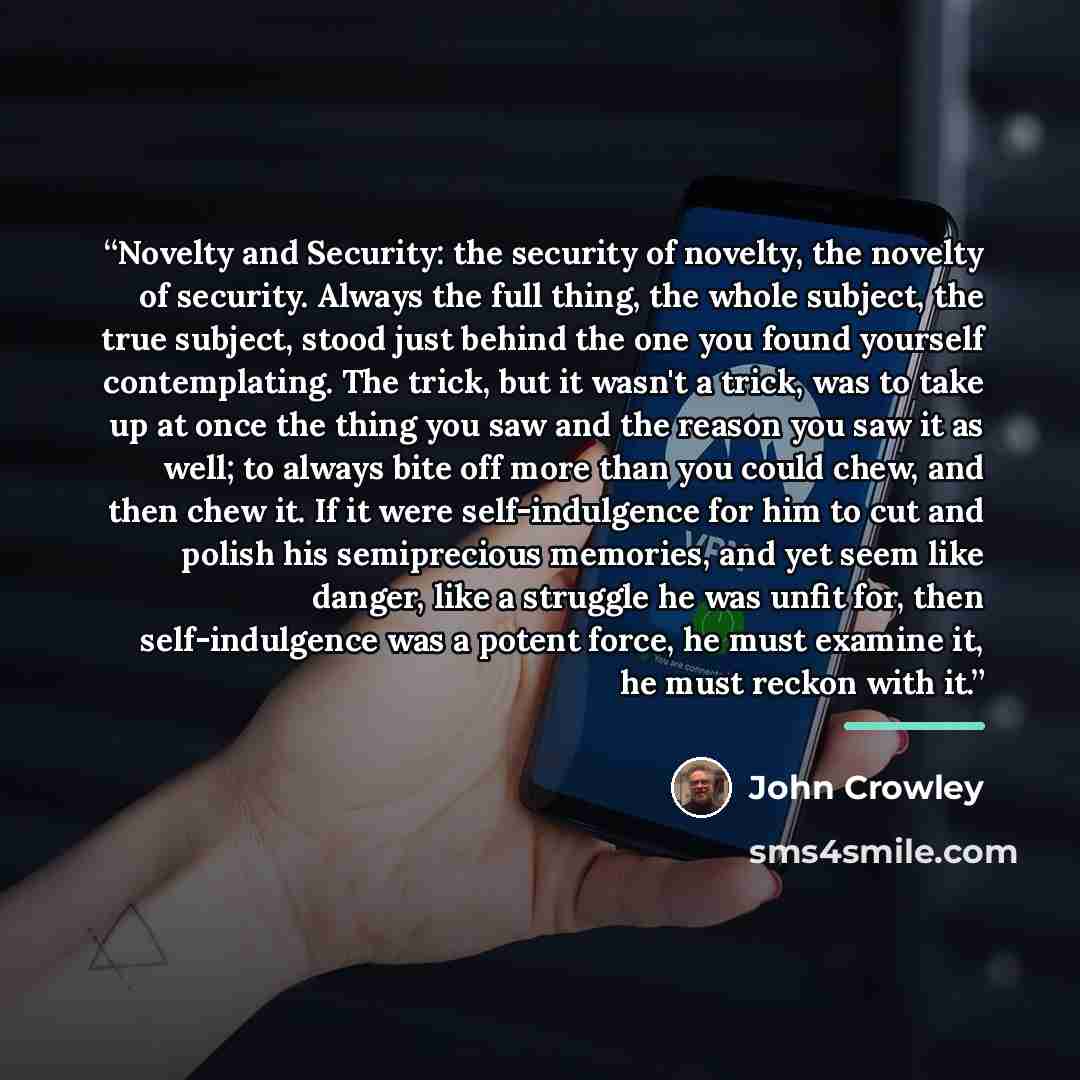 “Novelty and Security: the security of novelty, the novelty of security. Always the full thing, the whole subject, the true subject, stood just behind the one you found yourself contemplating. The trick, but it wasn't a trick, was to take up at once the thing you saw and the reason you saw it as…” quote by John Crowley