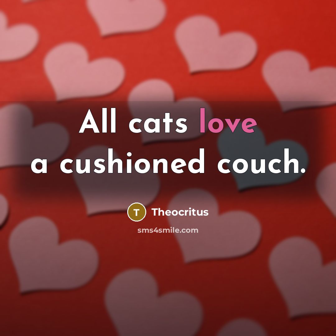 “All cats love a cushioned couch.” quote by Theocritus