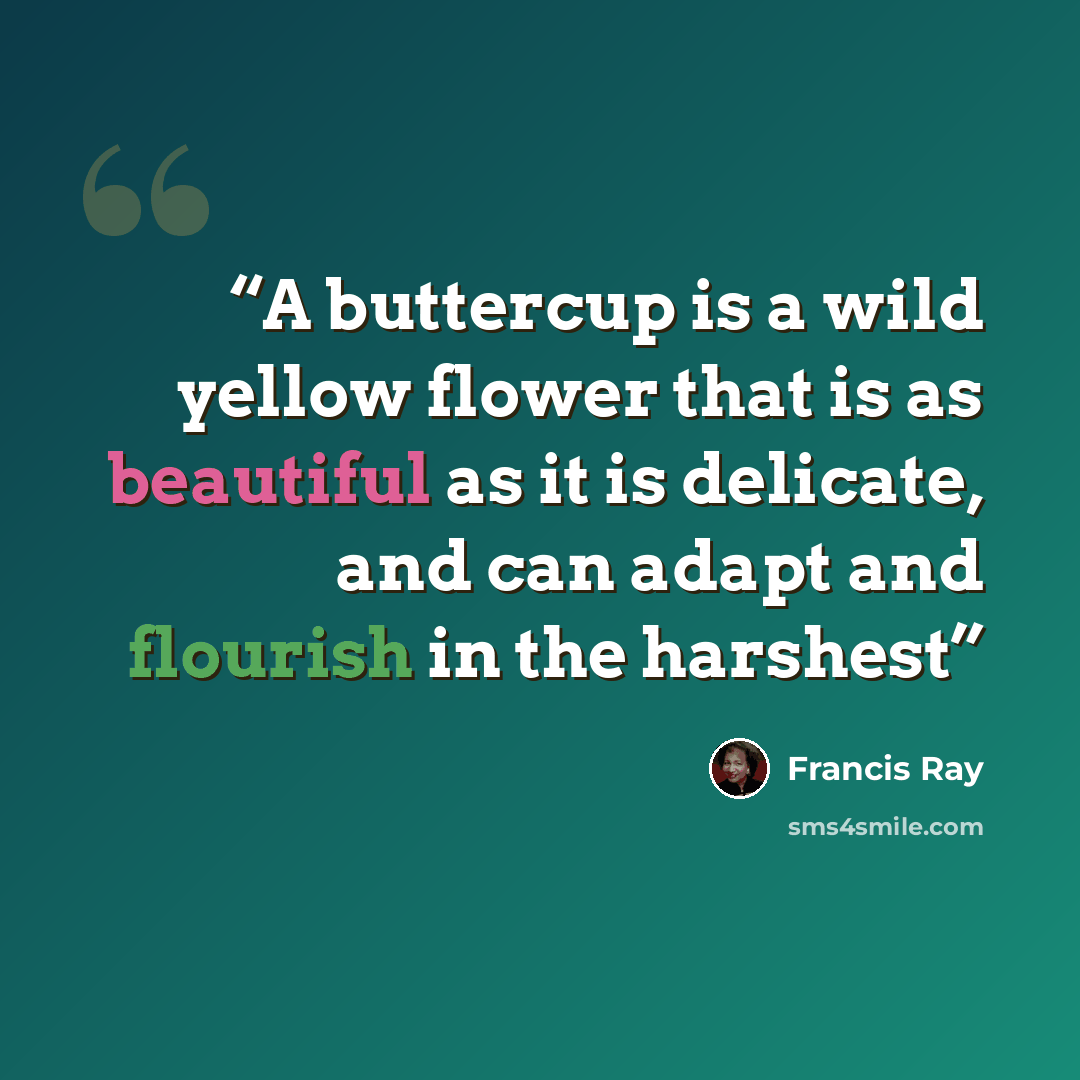 “A buttercup is a wild yellow flower that is as beautiful as it is delicate, and can adapt and flourish in the harshest” quote by Francis Ray