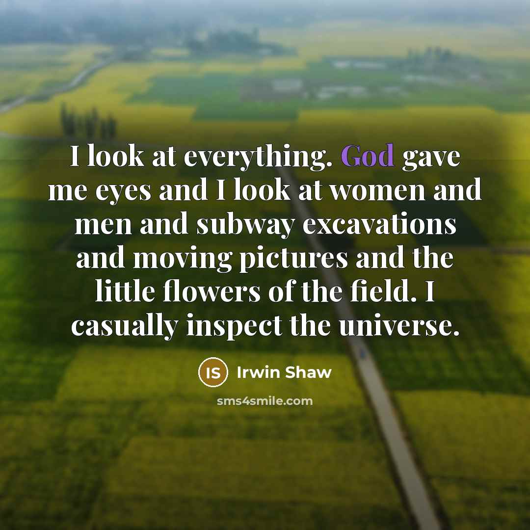 “I look at everything. God gave me eyes and I look at women and men and subway excavations and moving pictures and the little flowers of the field. I casually inspect the universe.” quote by Irwin Shaw