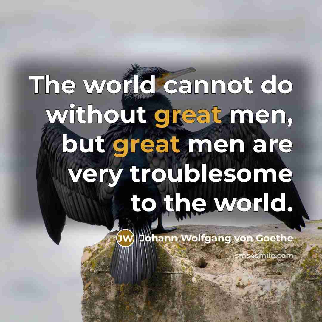 “The world cannot do without great men, but great men are very troublesome to the world.” quote by Johann Wolfgang von Goethe