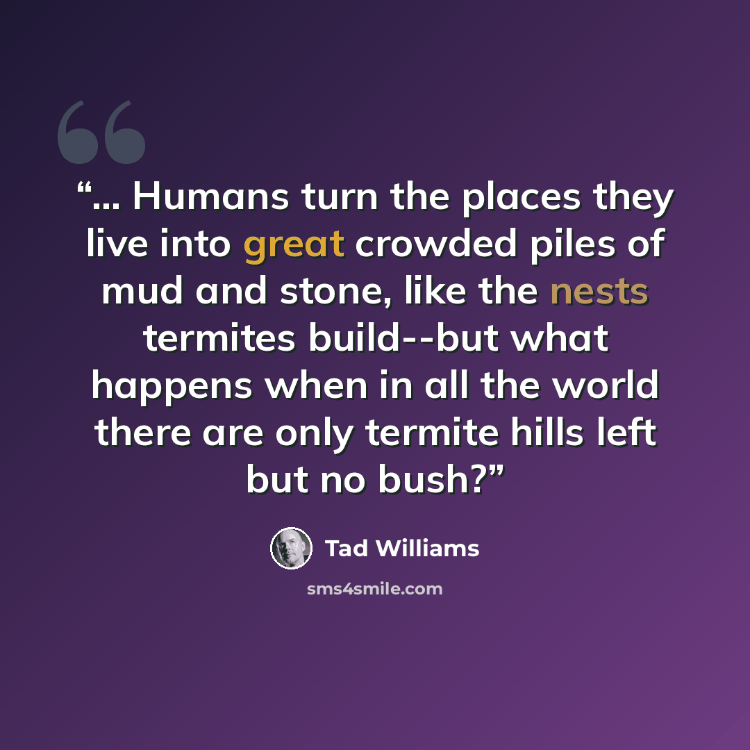 “... Humans turn the places they live into great crowded piles of mud and stone, like the nests termites build--but what happens when in all the world there are only termite hills left but no bush?” quote by Tad Williams