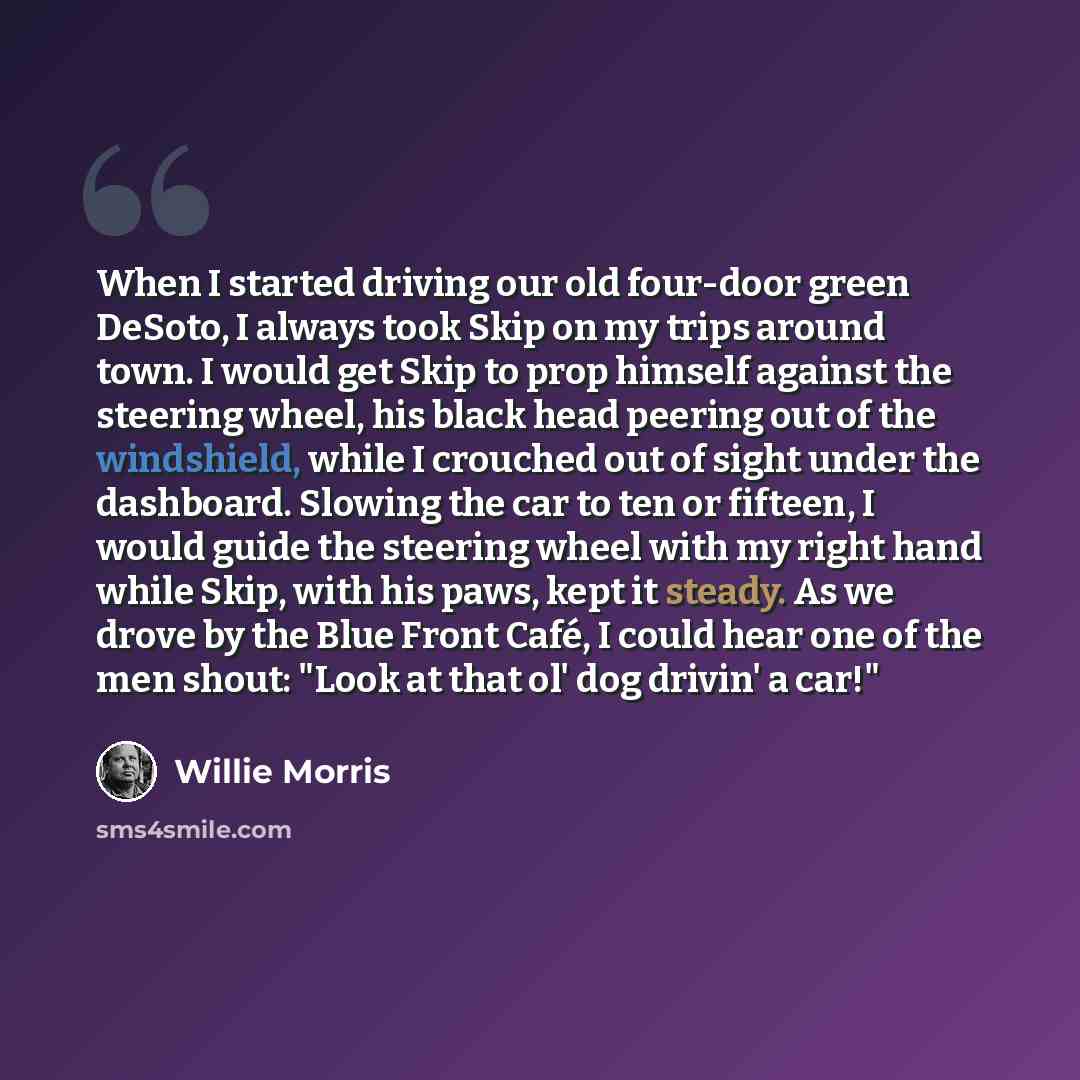 “When I started driving our old four-door green DeSoto, I always took Skip on my trips around town. I would get Skip to prop himself against the steering wheel, his black head peering out of the windshield, while I crouched out of sight under the dashboard. Slowing the car to ten or fifteen, I…” quote by Willie Morris