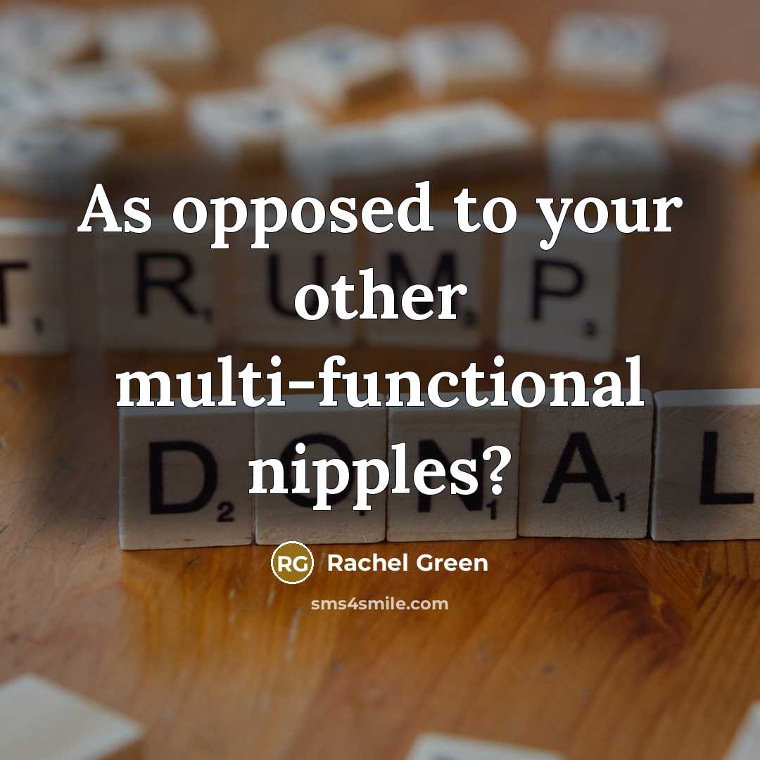 “As opposed to your other multi-functional nipples?” quote by Rachel Green