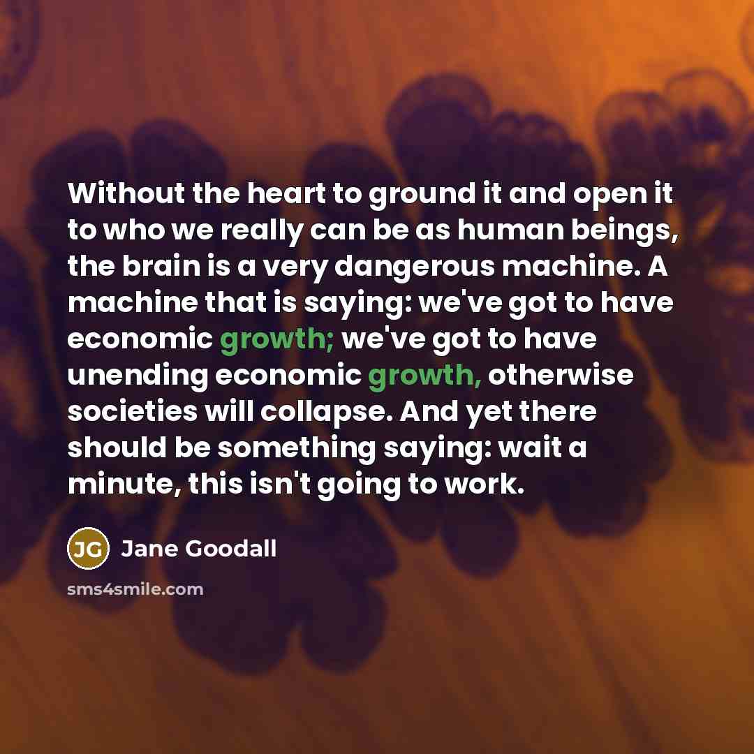 “Without the heart to ground it and open it to who we really can be as human beings, the brain is a very dangerous machine. A machine that is saying: we've got to have economic growth; we've got to have unending economic growth, otherwise societies will collapse. And yet there should be something…” quote by Jane Goodall