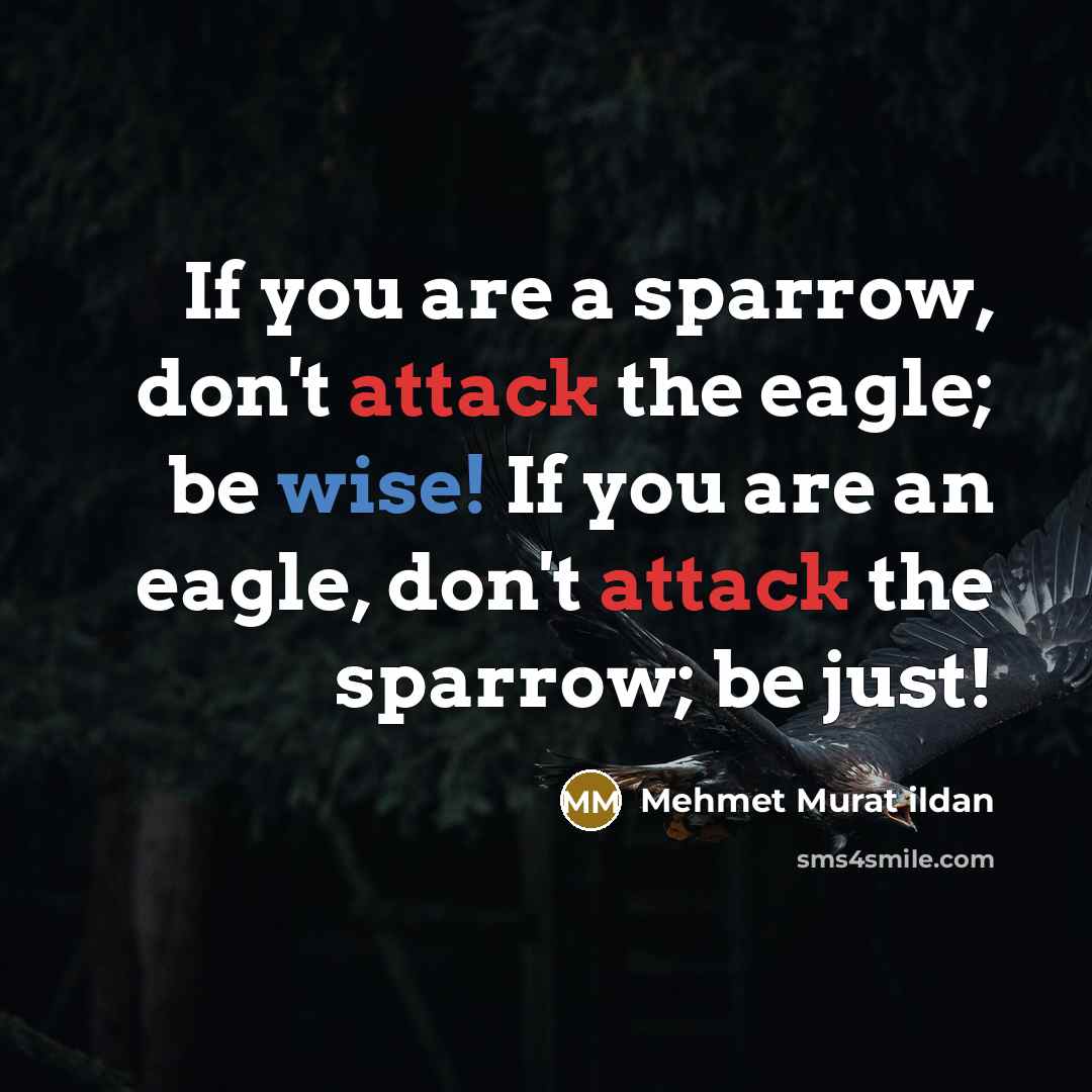 “If you are a sparrow, don't attack the eagle; be wise! If you are an eagle, don't attack the sparrow; be just!” quote by Mehmet Murat Ildan