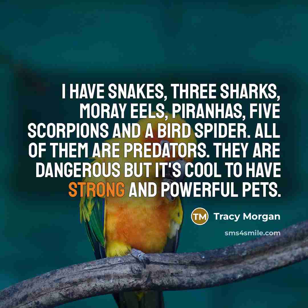 “I have snakes, three sharks, moray eels, piranhas, five scorpions and a bird spider. All of them are predators. They are dangerous but it's cool to have strong and powerful pets.” quote by Tracy Morgan