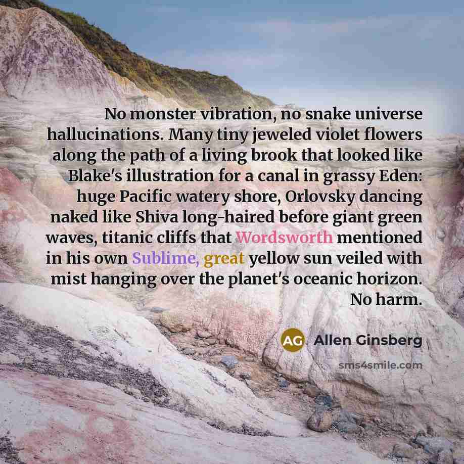 “No monster vibration, no snake universe hallucinations. Many tiny jeweled violet flowers along the path of a living brook that looked like Blake's illustration for a canal in grassy Eden: huge Pacific watery shore, Orlovsky dancing naked like Shiva long-haired before giant green waves, titanic…” quote by Allen Ginsberg