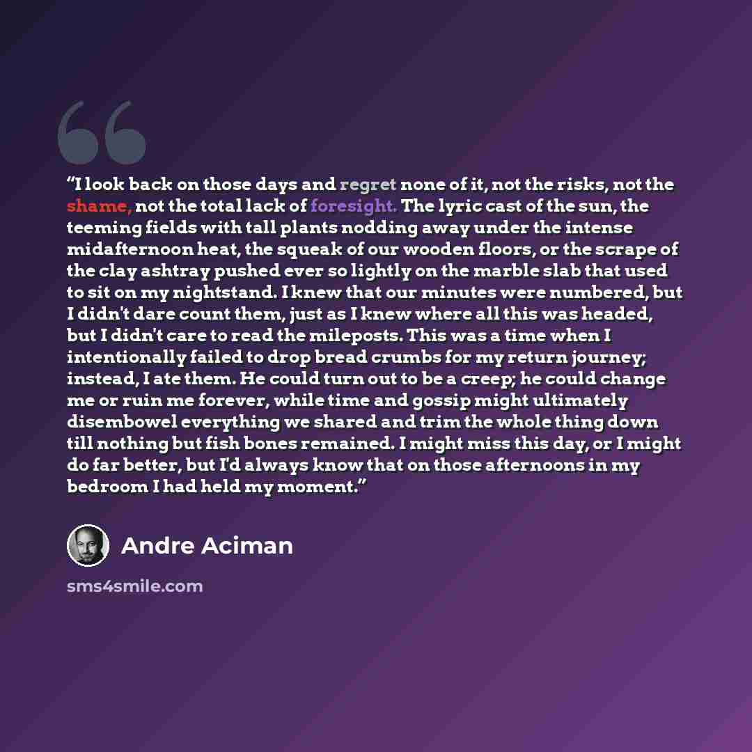 “I look back on those days and regret none of it, not the risks, not the shame, not the total lack of foresight. The lyric cast of the sun, the teeming fields with tall plants nodding away under the intense midafternoon heat, the squeak of our wooden floors, or the scrape of the clay ashtray pushed…” quote by André Aciman