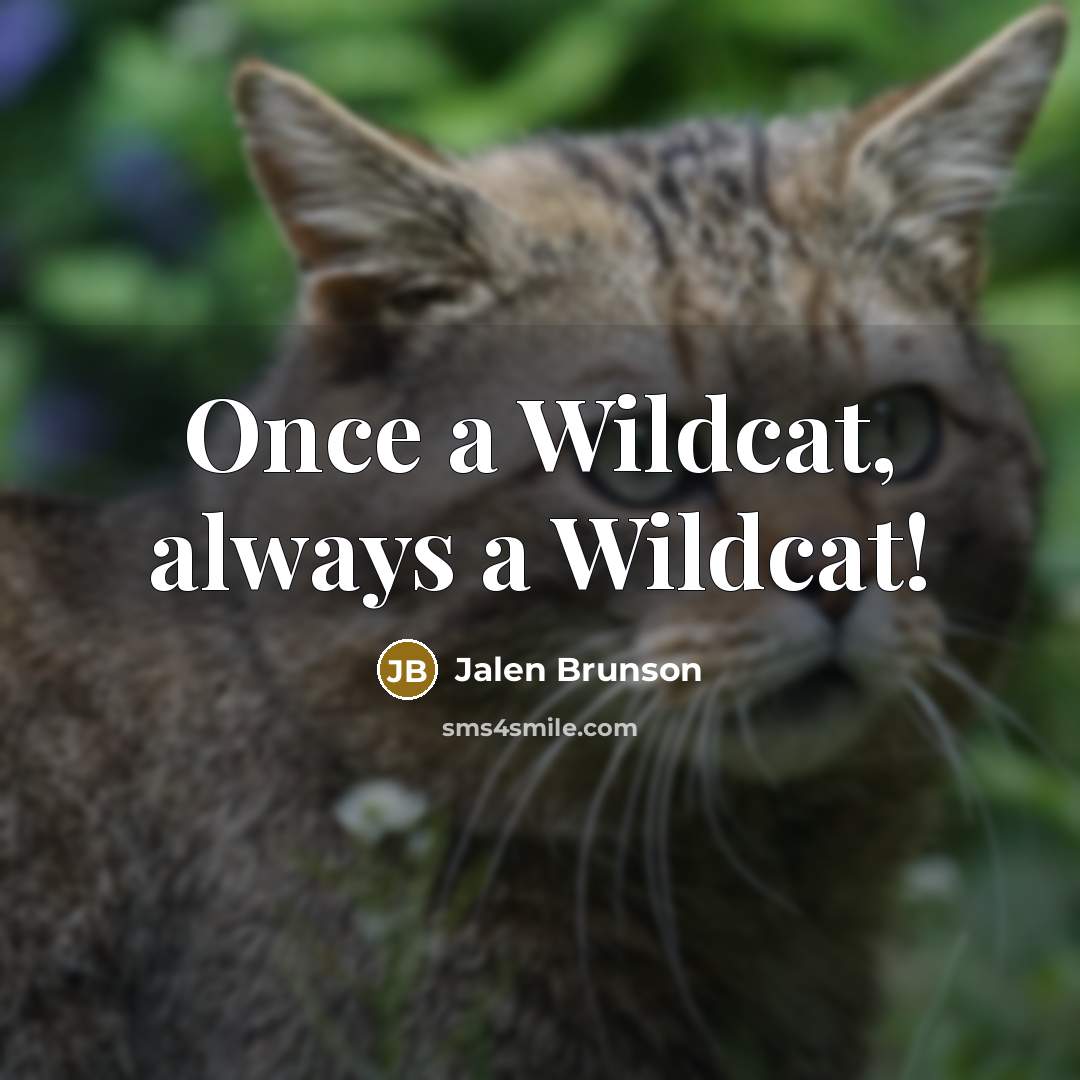 “Once a Wildcat, always a Wildcat!” quote by Jalen Brunson