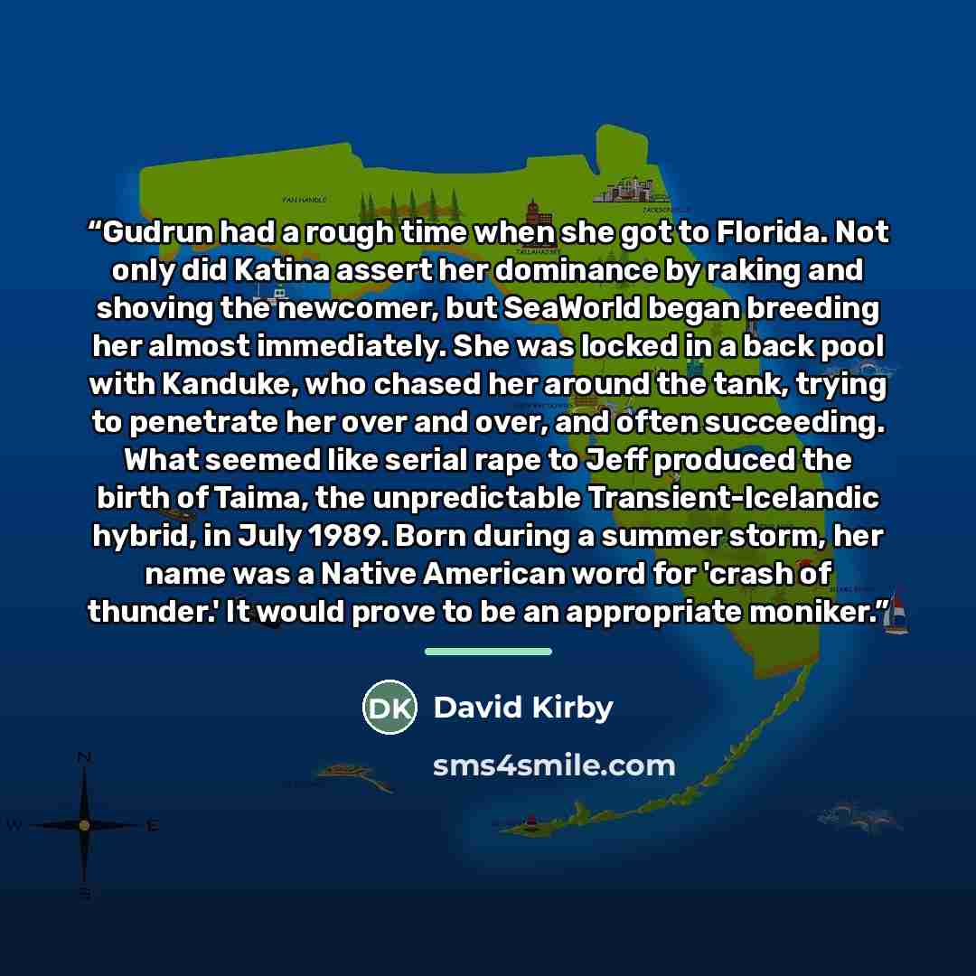 “Gudrun had a rough time when she got to Florida. Not only did Katina assert her dominance by raking and shoving the newcomer, but SeaWorld began breeding her almost immediately. She was locked in a back pool with Kanduke, who chased her around the tank, trying to penetrate her over and over, and…” quote by David Kirby