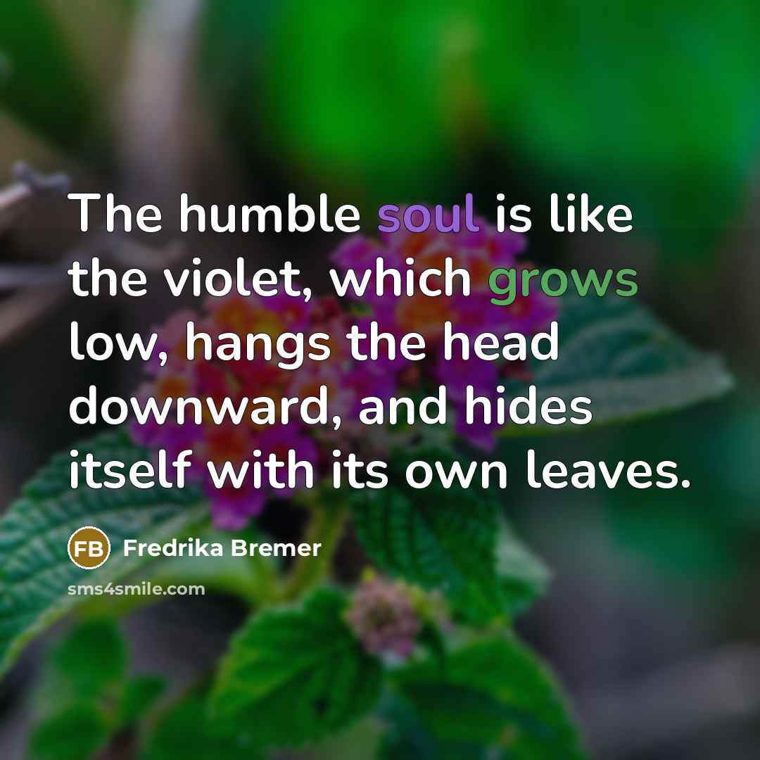 “The humble soul is like the violet, which grows low, hangs the head downward, and hides itself with its own leaves.” quote by Fredrika Bremer