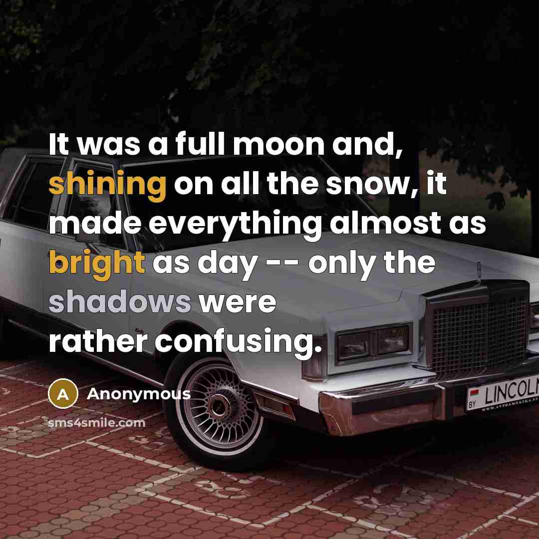 “It was a full moon and, shining on all the snow, it made everything almost as bright as day -- only the shadows were rather confusing.” quote by Anonymous