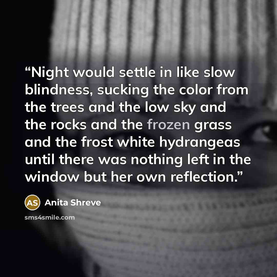 “Night would settle in like slow blindness, sucking the color from the trees and the low sky and the rocks and the frozen grass and the frost white hydrangeas until there was nothing left in the window but her own reflection.” quote by Anita Shreve