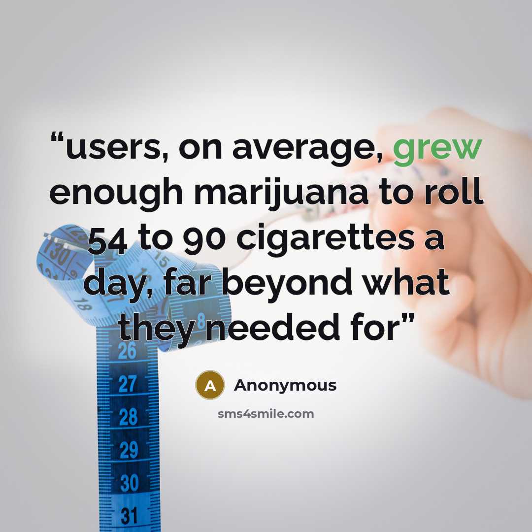 “users, on average, grew enough marijuana to roll 54 to 90 cigarettes a day, far beyond what they needed for” quote by Anonymous