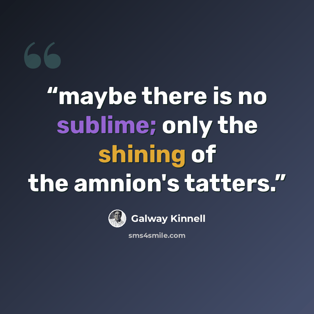 “maybe there is no sublime; only the shining of the amnion's tatters.” quote by Galway Kinnell