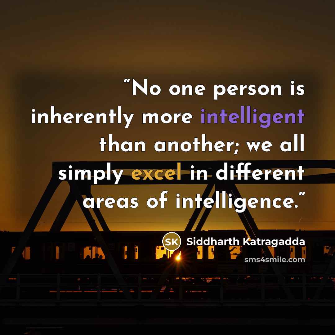 “No one person is inherently more intelligent than another; we all simply excel in different areas of intelligence.” quote by Siddharth Katragadda