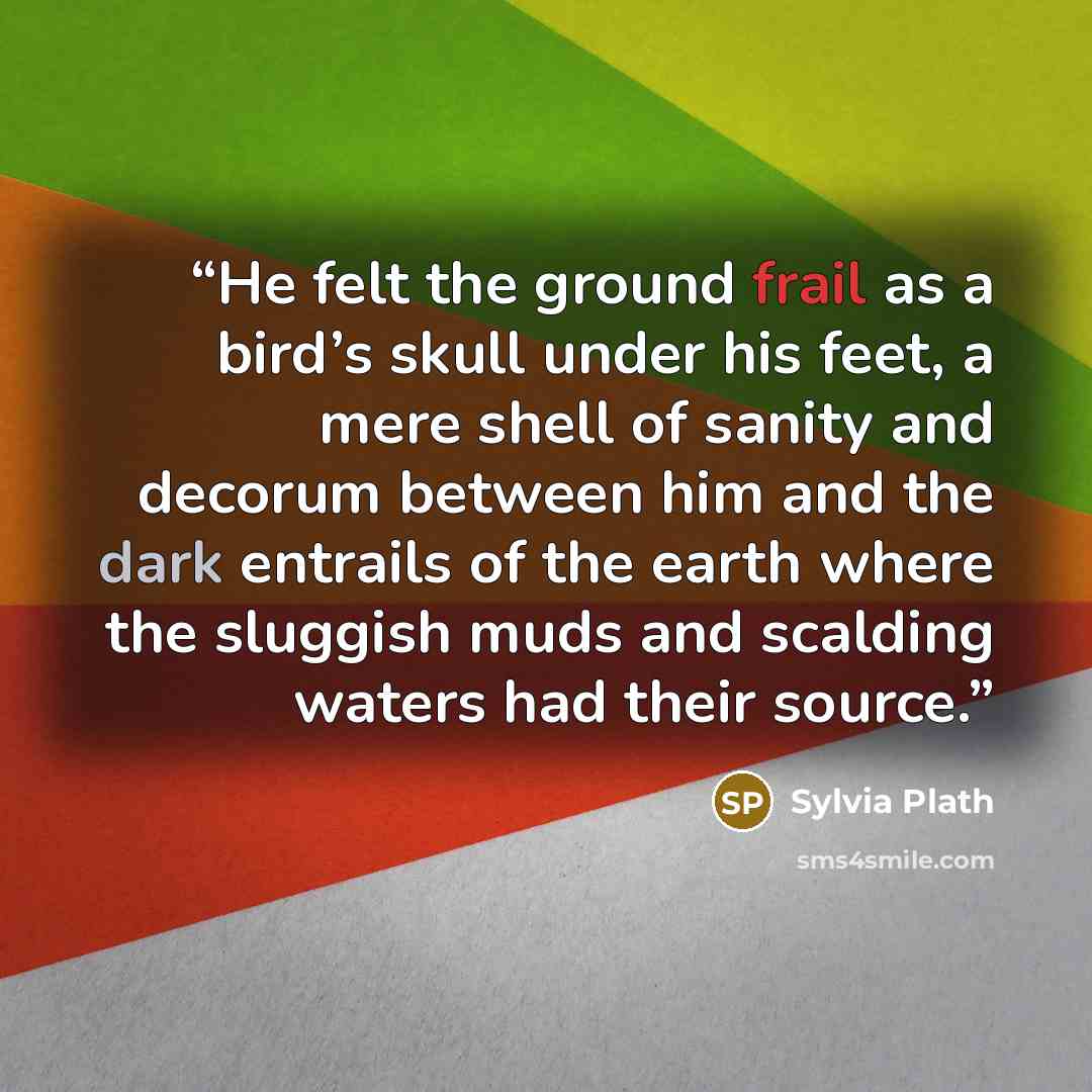 “He felt the ground frail as a bird’s skull under his feet, a mere shell of sanity and decorum between him and the dark entrails of the earth where the sluggish muds and scalding waters had their source.” quote by Sylvia Plath