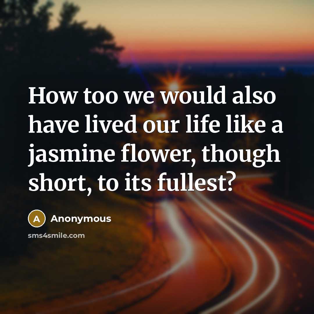 “How too we would also have lived our life like a jasmine flower, though short, to its fullest?” quote by Anonymous
