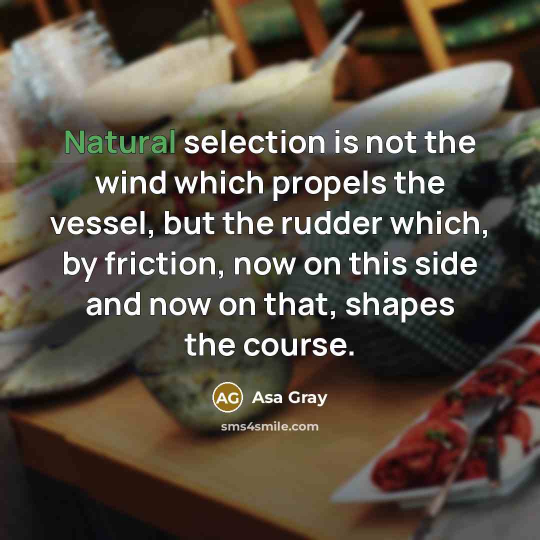 “Natural selection is not the wind which propels the vessel, but the rudder which, by friction, now on this side and now on that, shapes the course.” quote by Asa Gray