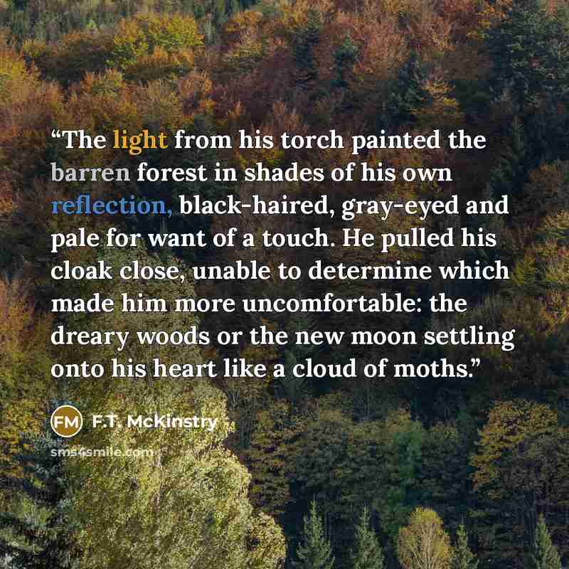 “The light from his torch painted the barren forest in shades of his own reflection, black-haired, gray-eyed and pale for want of a touch. He pulled his cloak close, unable to determine which made him more uncomfortable: the dreary woods or the new moon settling onto his heart like a cloud of moths.” quote by F.T. McKinstry