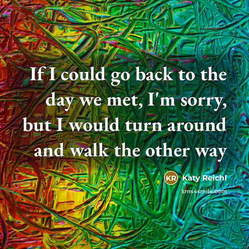 “If I could go back to the day we met, I'm sorry, but I would turn around and walk the other way” quote by Katy Reichl