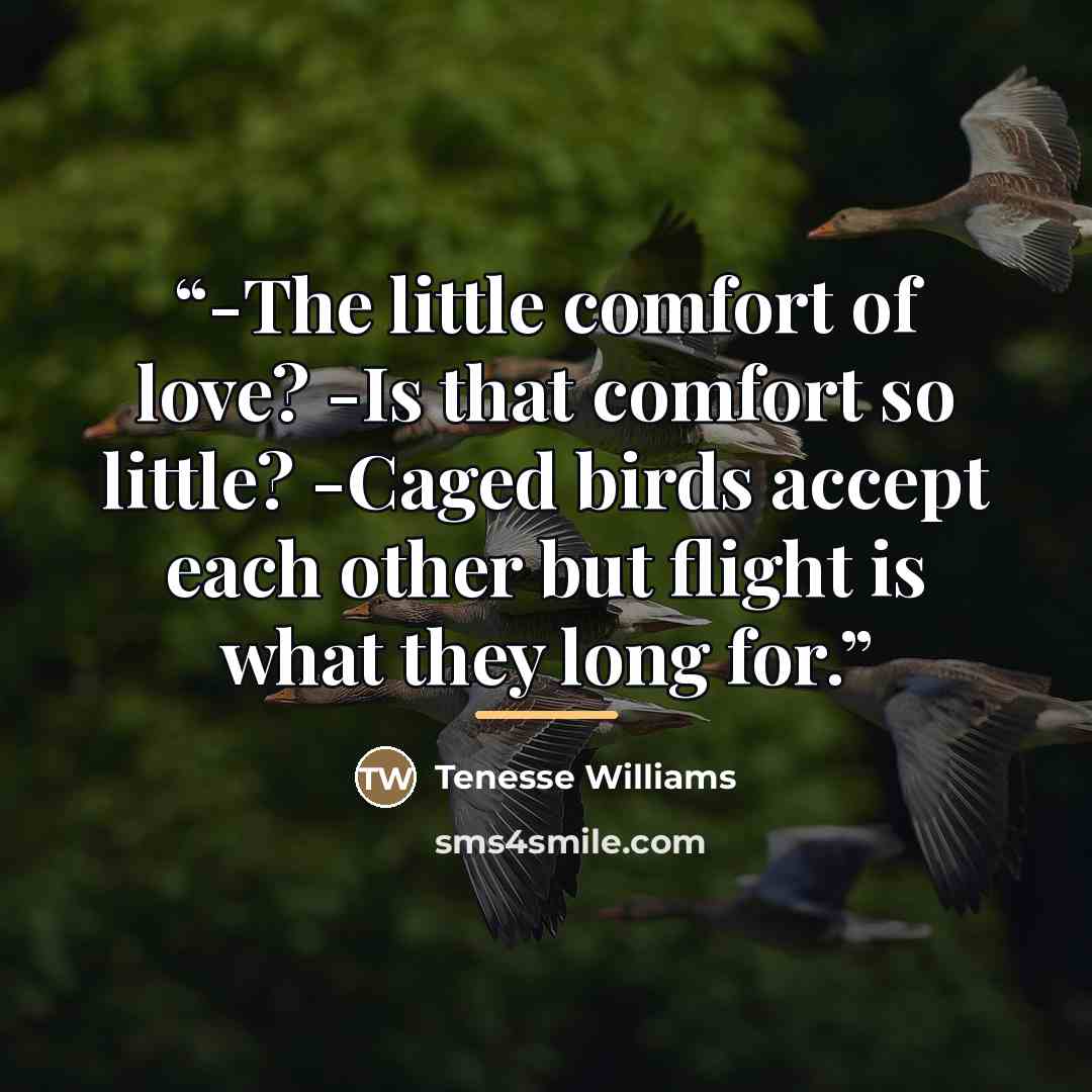 “-The little comfort of love? -Is that comfort so little? -Caged birds accept each other but flight is what they long for.” quote by Tenesse Williams