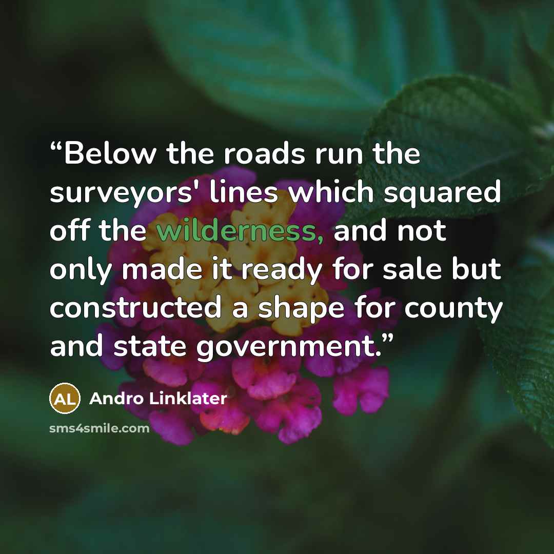 “Below the roads run the surveyors' lines which squared off the wilderness, and not only made it ready for sale but constructed a shape for county and state government.” quote by Andro Linklater