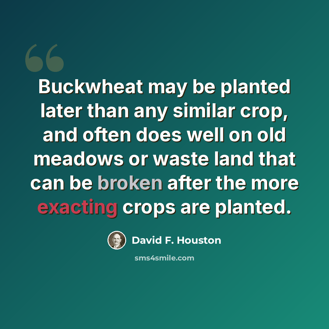 “Buckwheat may be planted later than any similar crop, and often does well on old meadows or waste land that can be broken after the more exacting crops are planted.” quote by David F. Houston