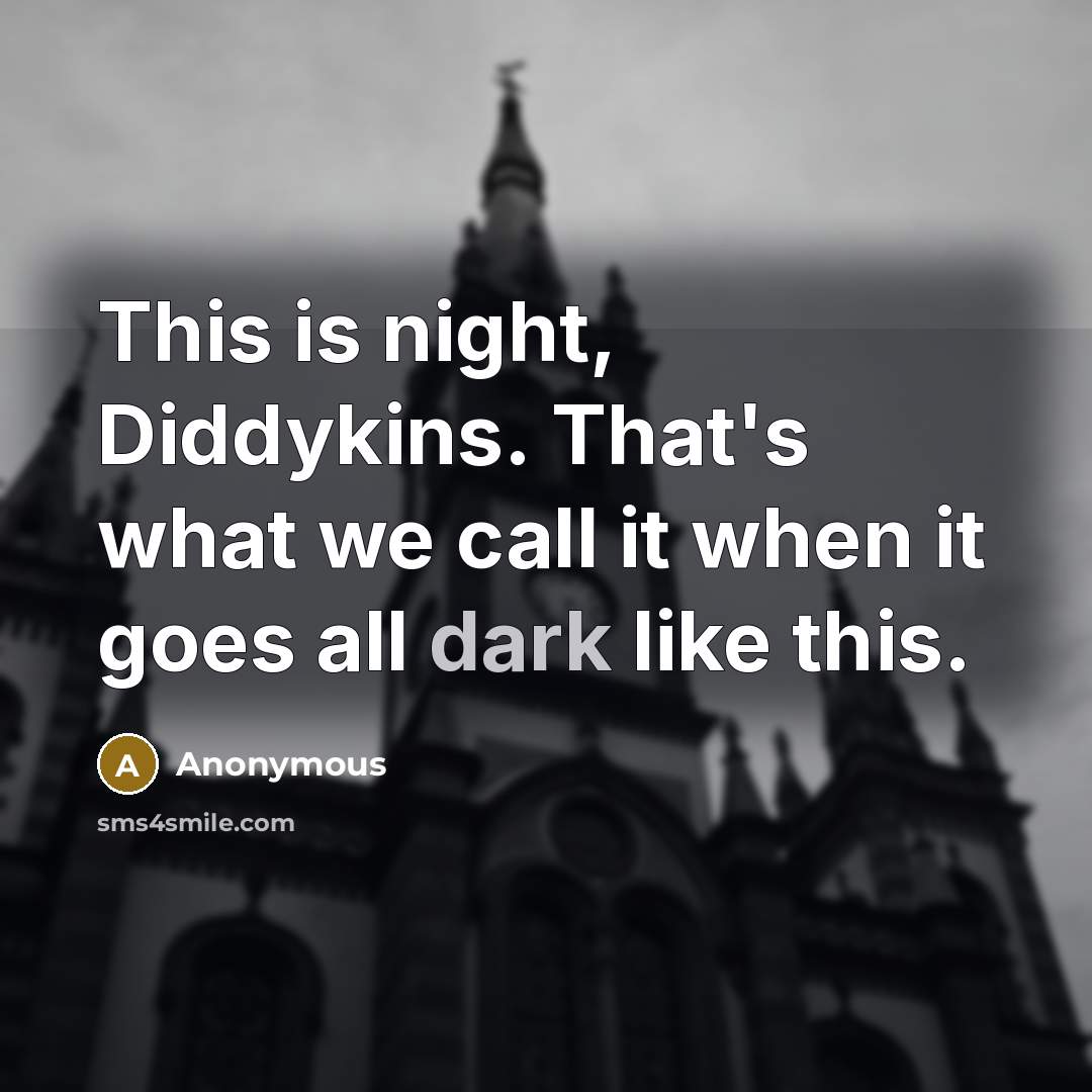“This is night, Diddykins. That's what we call it when it goes all dark like this.” quote by Anonymous