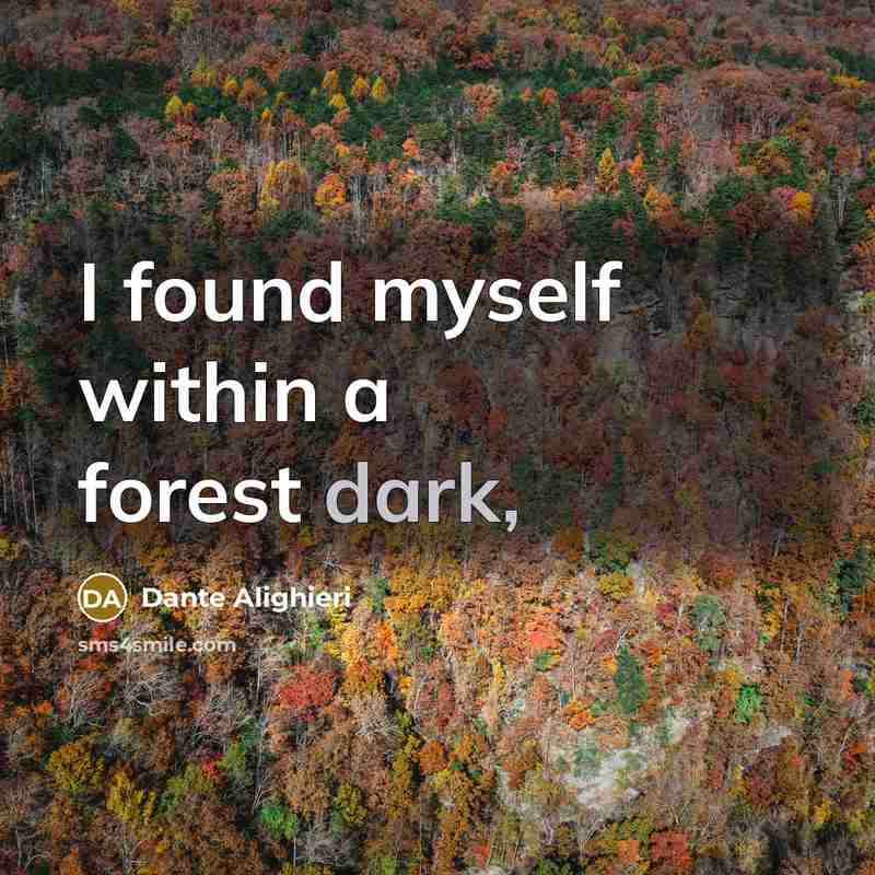 “I found myself within a forest dark,” quote by Dante Alighieri