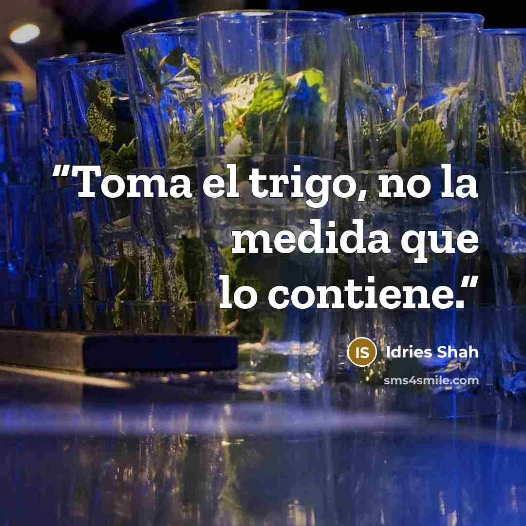 “Toma el trigo, no la medida que lo contiene.” quote by Idries Shah