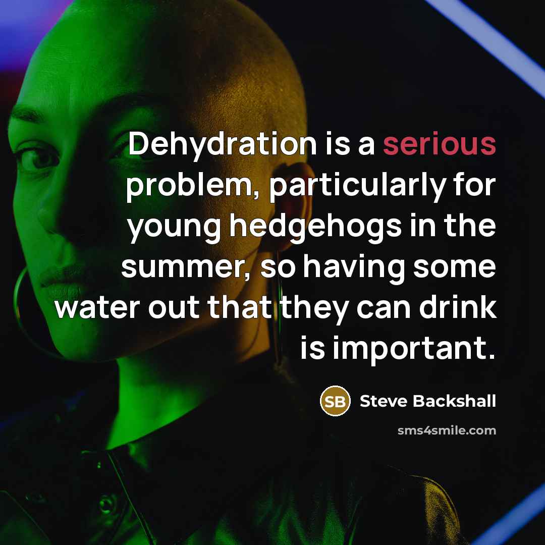“Dehydration is a serious problem, particularly for young hedgehogs in the summer, so having some water out that they can drink is important.” quote by Steve Backshall