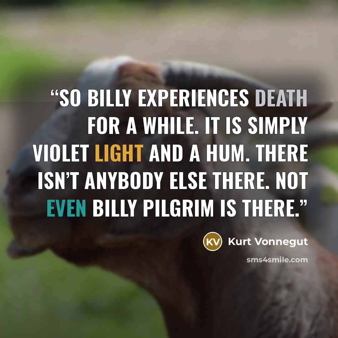 “So Billy experiences death for a while. It is simply violet light and a hum. There isn’t anybody else there. Not even Billy Pilgrim is there.” quote by Kurt Vonnegut