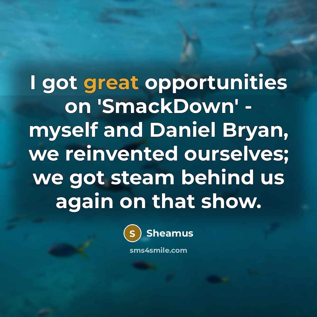 “I got great opportunities on 'SmackDown' - myself and Daniel Bryan, we reinvented ourselves; we got steam behind us again on that show.” quote by Sheamus