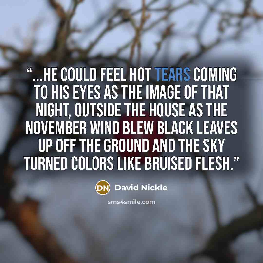 “...he could feel hot tears coming to his eyes as the image of that night, outside the house as the November wind blew black leaves up off the ground and the sky turned colors like bruised flesh.” quote by David Nickle