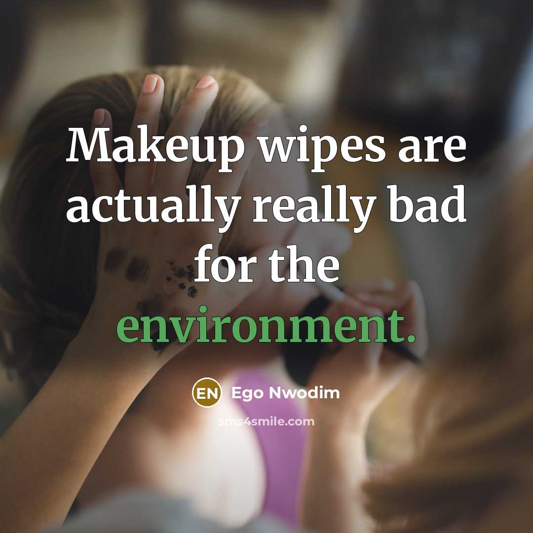 “Makeup wipes are actually really bad for the environment.” quote by Ego Nwodim