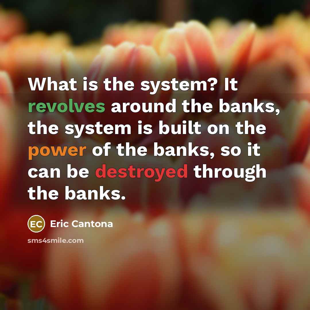 “What is the system? It revolves around the banks, the system is built on the power of the banks, so it can be destroyed through the banks.” quote by Eric Cantona
