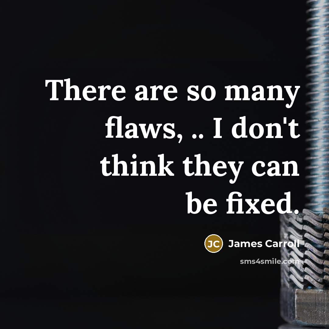 “There are so many flaws, .. I don't think they can be fixed.” quote by James Carroll