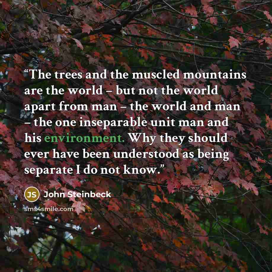 “The trees and the muscled mountains are the world – but not the world apart from man – the world and man – the one inseparable unit man and his environment. Why they should ever have been understood as being separate I do not know.” quote by John Steinbeck