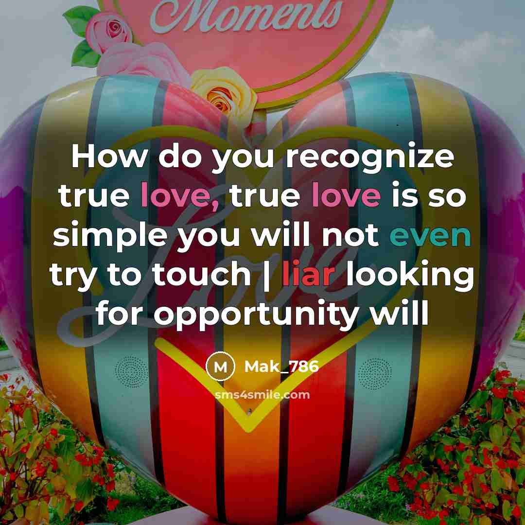 “How do you recognize true love, true love is so simple you will not even try to touch | liar looking for opportunity will” quote by Mak_786