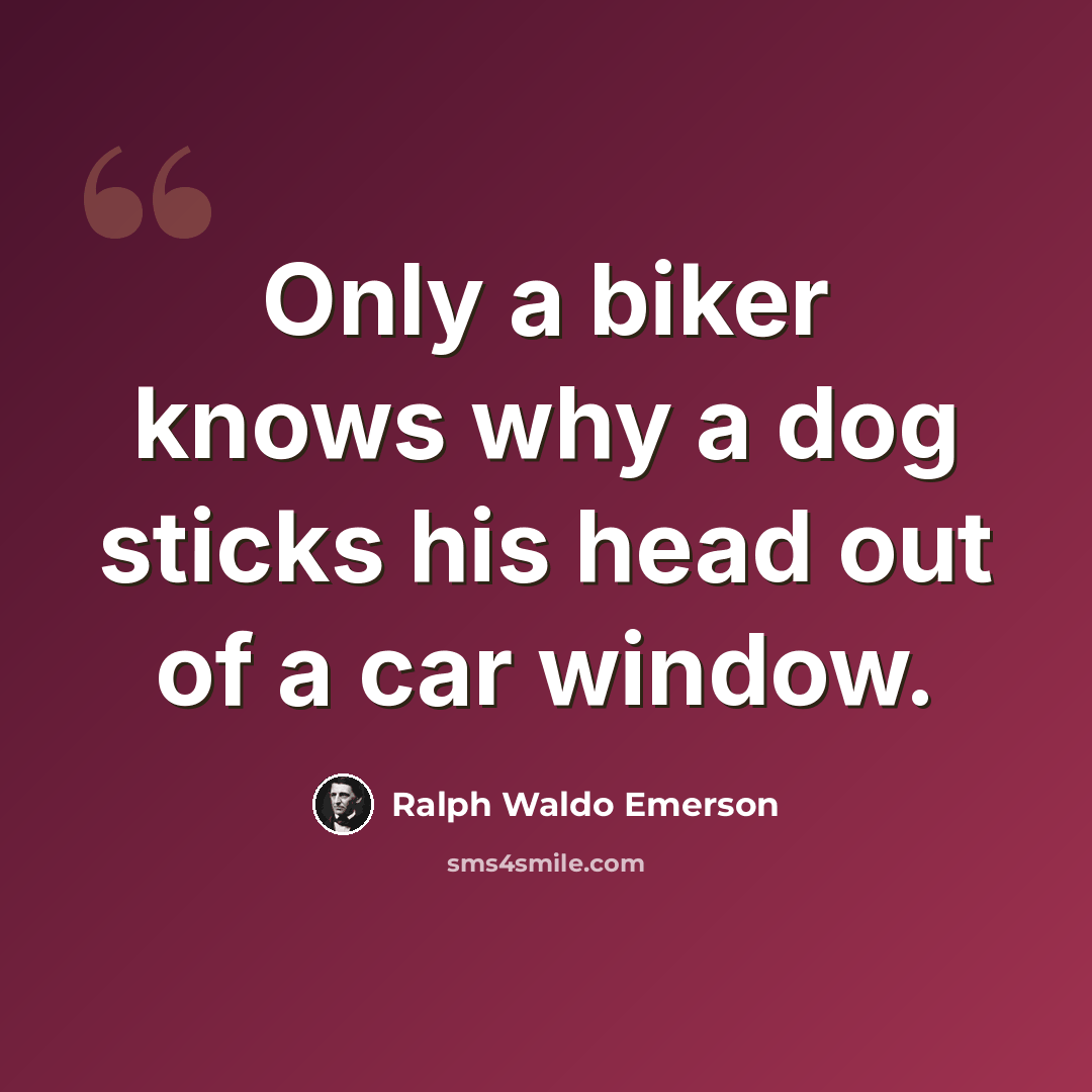 “Only a biker knows why a dog sticks his head out of a car window.” quote by Ralph Waldo Emerson