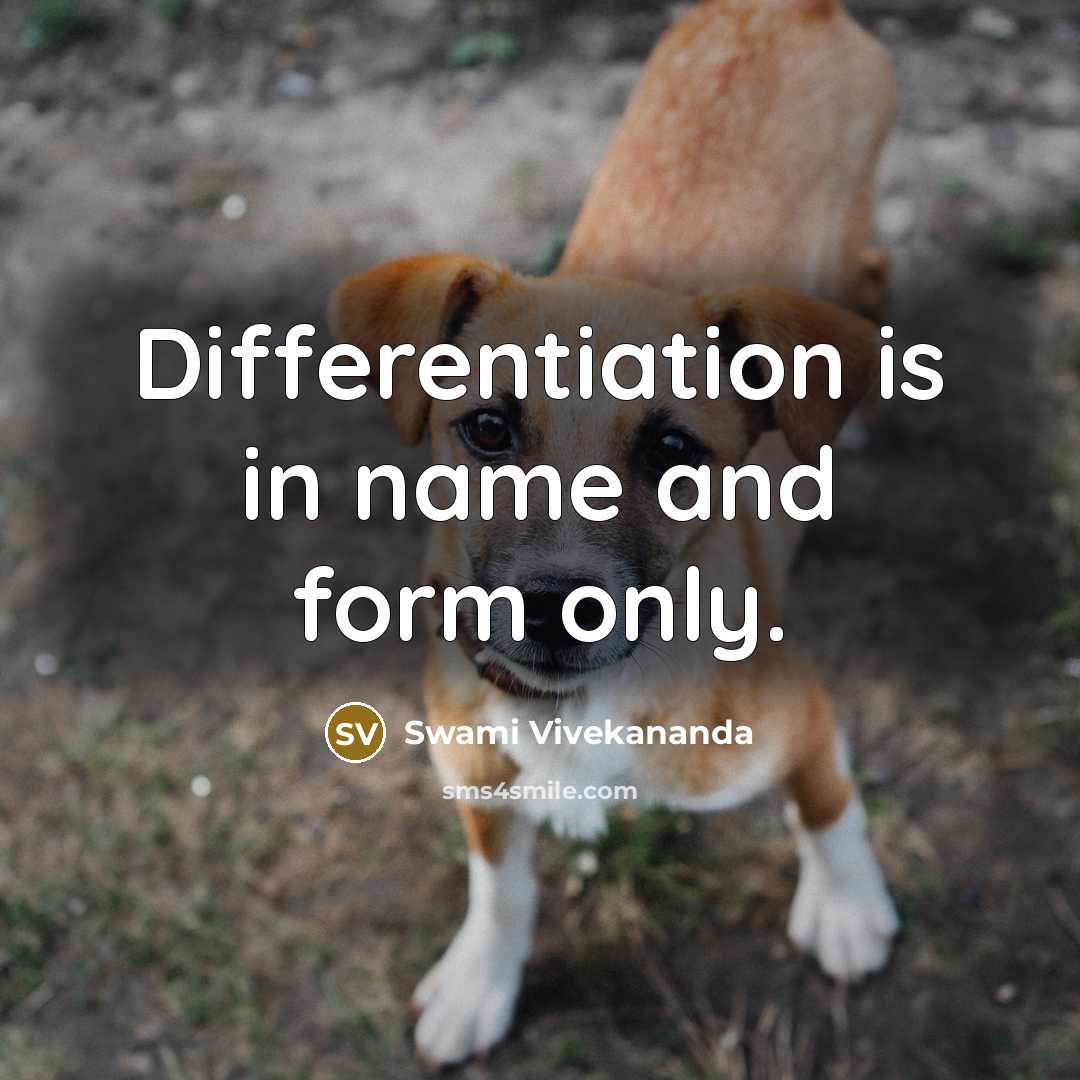 “Differentiation is in name and form only.” quote by Swami Vivekananda