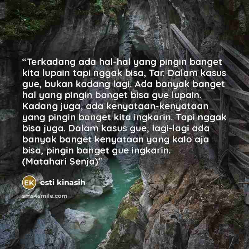 “Terkadang ada hal-hal yang pingin banget kita lupain tapi nggak bisa, Tar. Dalam kasus gue, bukan kadang lagi. Ada banyak banget hal yang pingin banget bisa gue lupain. Kadang juga, ada kenyataan-kenyataan yang pingin banget kita ingkarin. Tapi nggak bisa juga. Dalam kasus gue, lagi-lagi ada…” quote by Esti Kinasih