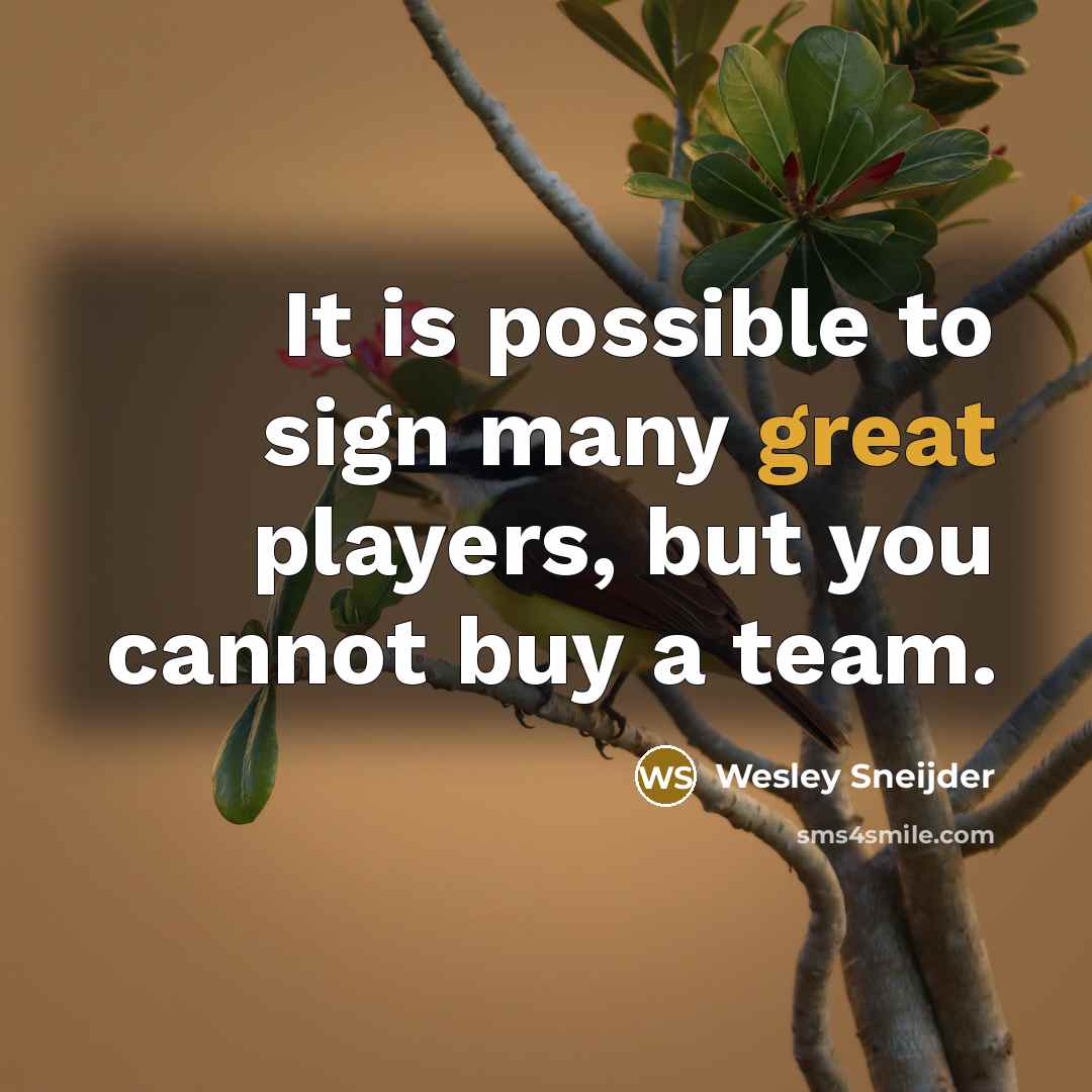 “It is possible to sign many great players, but you cannot buy a team.” quote by Wesley Sneijder