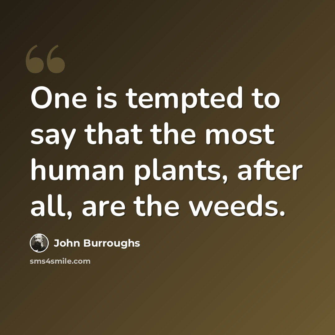 “One is tempted to say that the most human plants, after all, are the weeds.” quote by John Burroughs